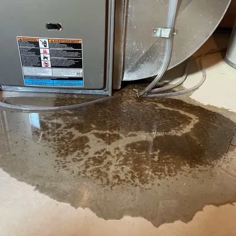 Appliance Leak Cleanup in Saint Stephens, NC